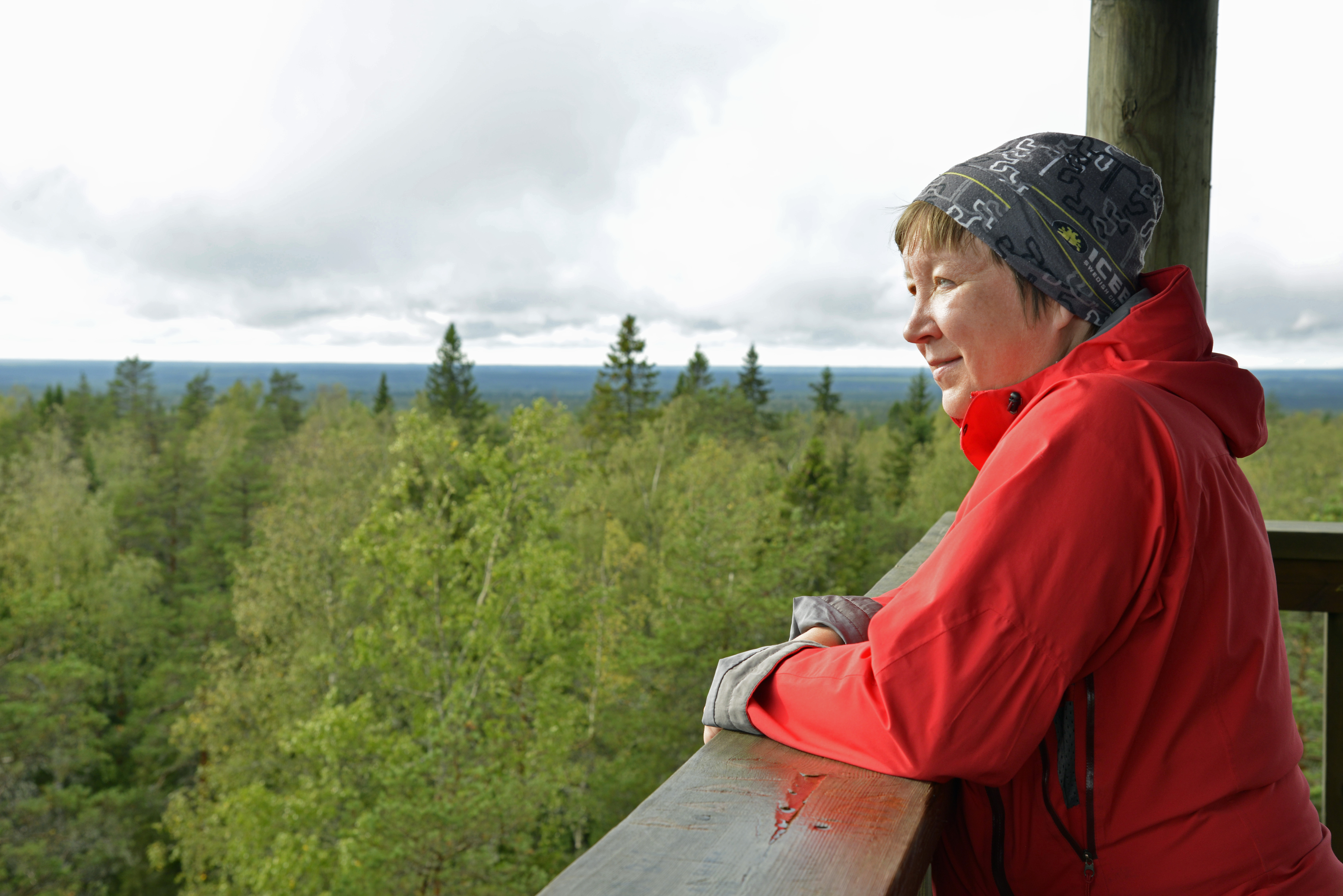 Nainen katselee metsäisiä maisemia Lauhanvuoren näkötornista