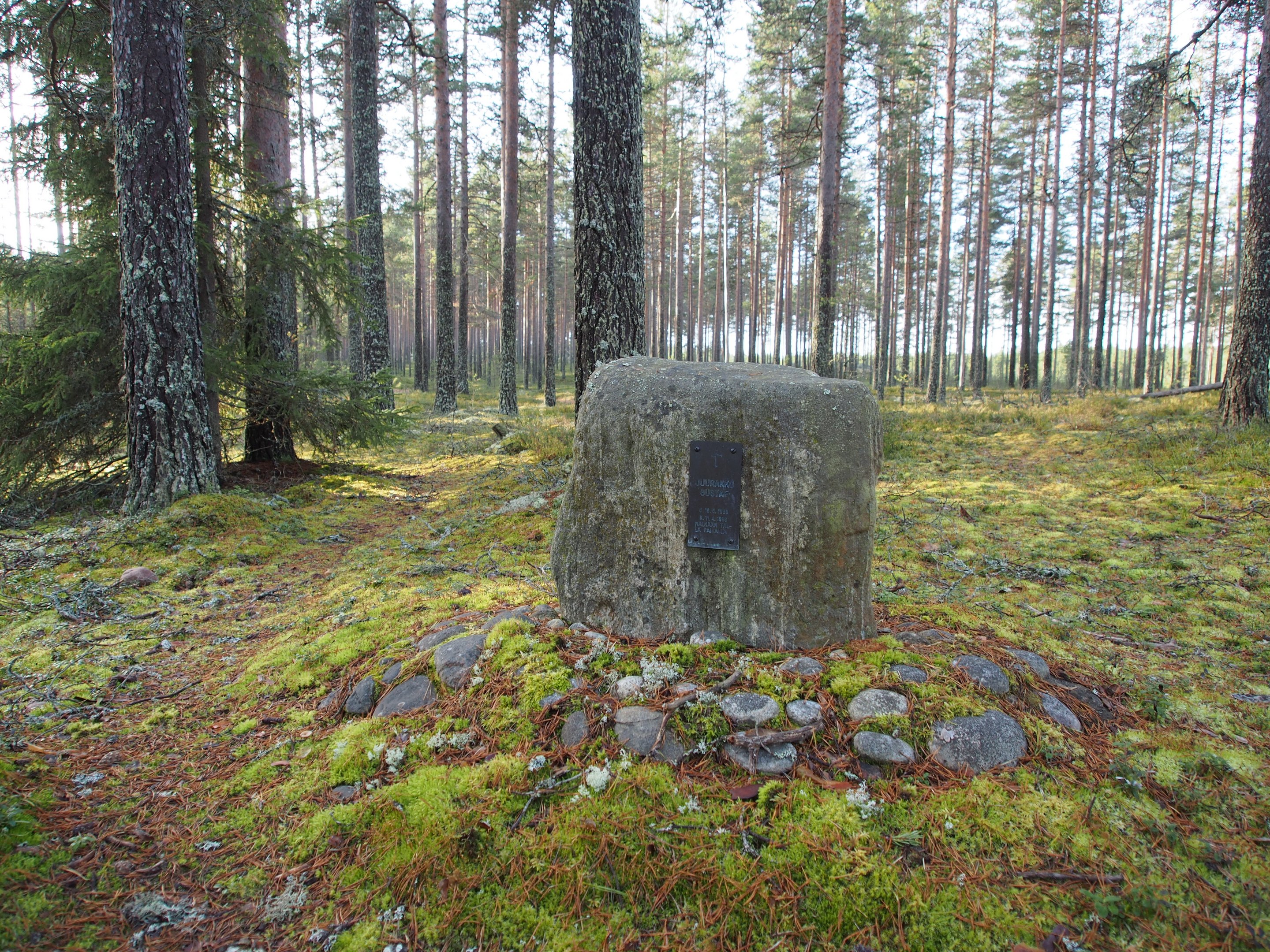 Hautakiven mallinen muistomerkki mäntykankaalla, kivessä metallilaatta, jossa on muistoteksti.