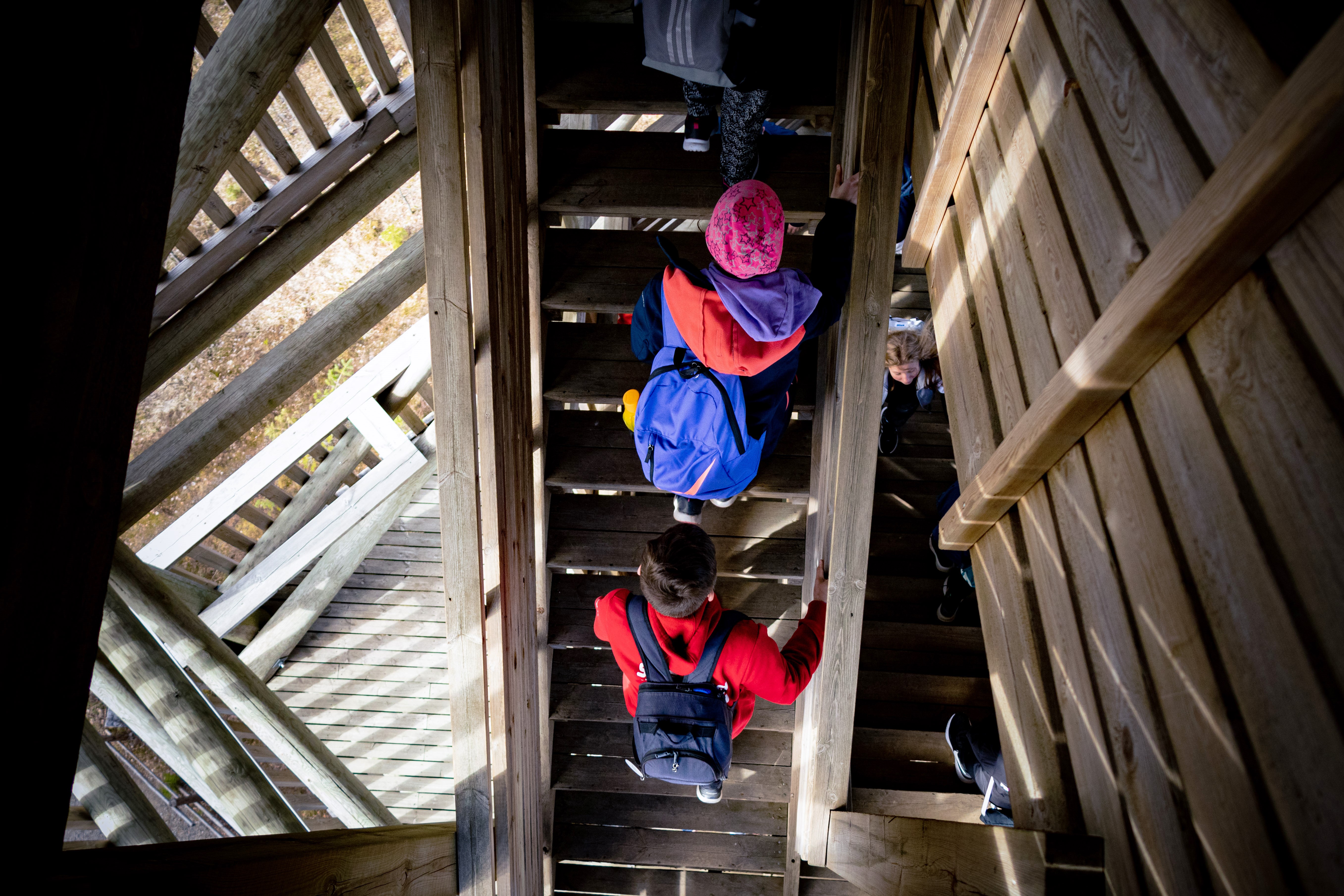Koululaisia nousemassa portaita pitkin Lauhanvuoren näkötorniin