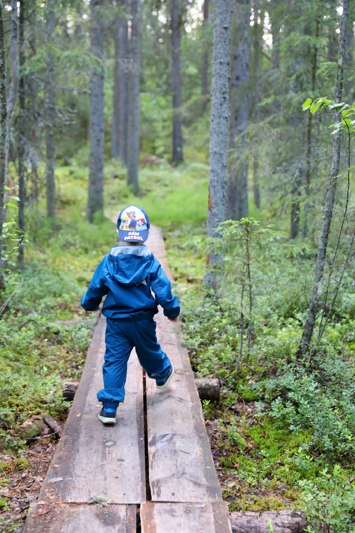 Lapsi kävelee Kustaa Hirven luontopolun pitkoksilla Parkanon metsämuseolla