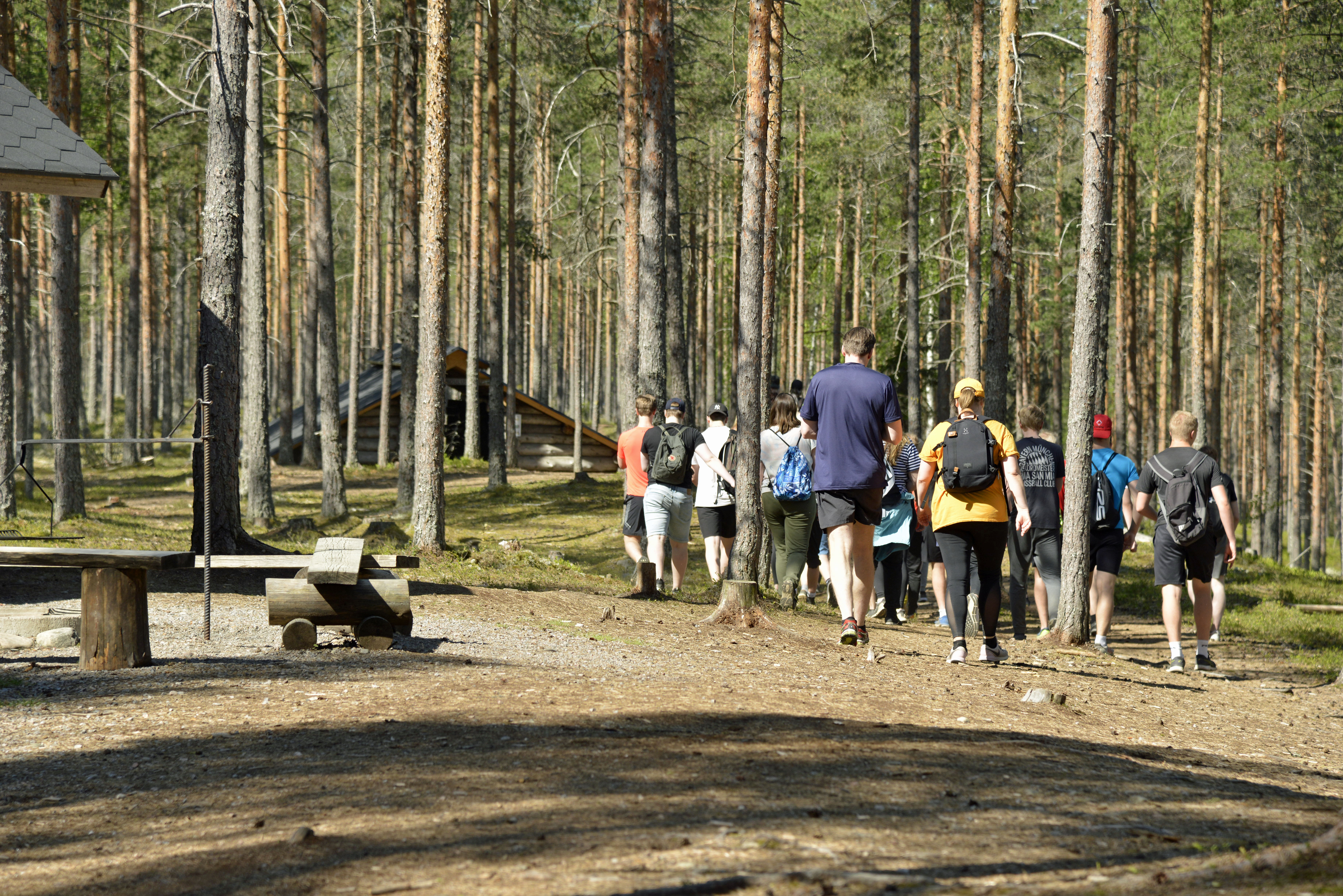 Lukiolaisryhmä kävelee Koivistonvadilla kangasmetsässä aurinkoisena kesäpäivänä