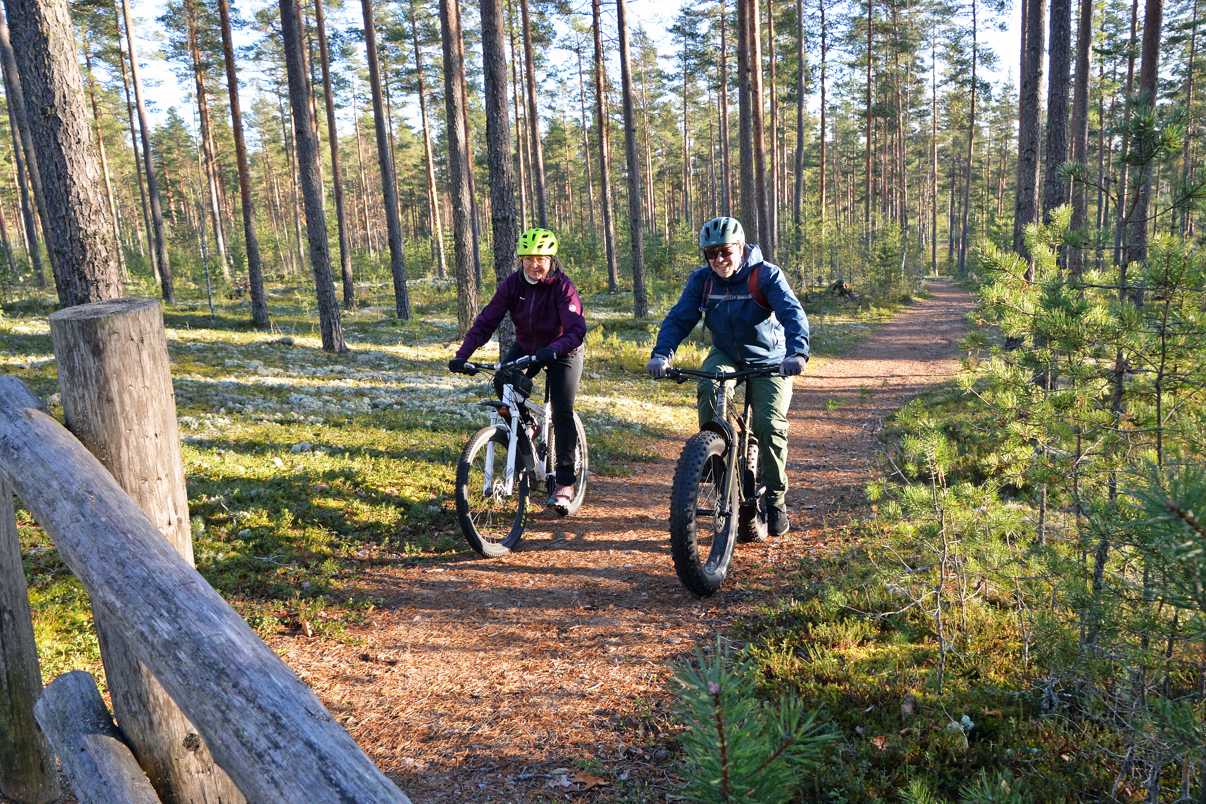 Maastopyöräilijät Hämeenkankaan neulaspolulla aurinkoisena syyspäivänä