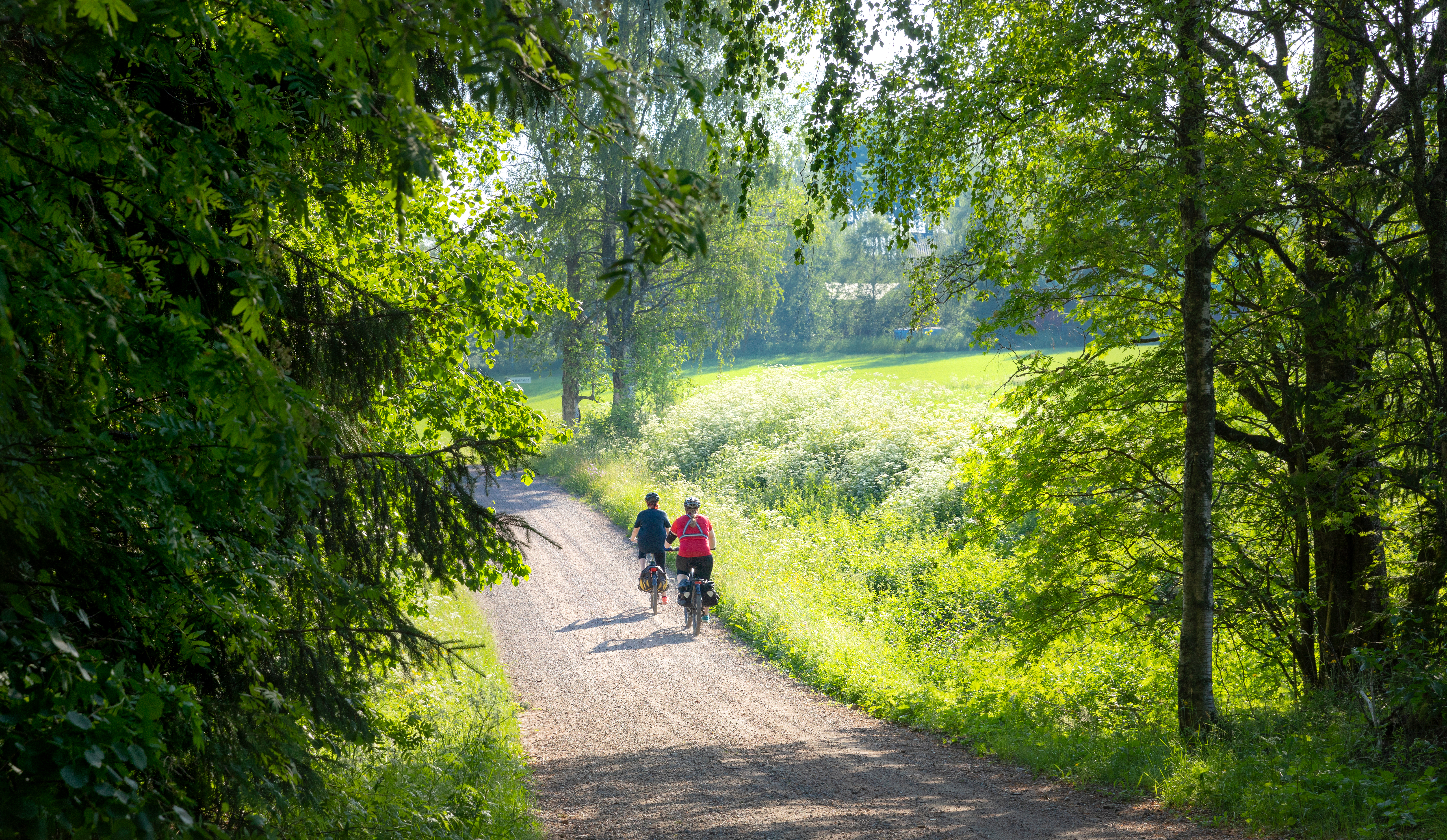 Retkipyöräilijöitä soratiellä maalaismaisemassa aurinkoisena kesäpäivänä