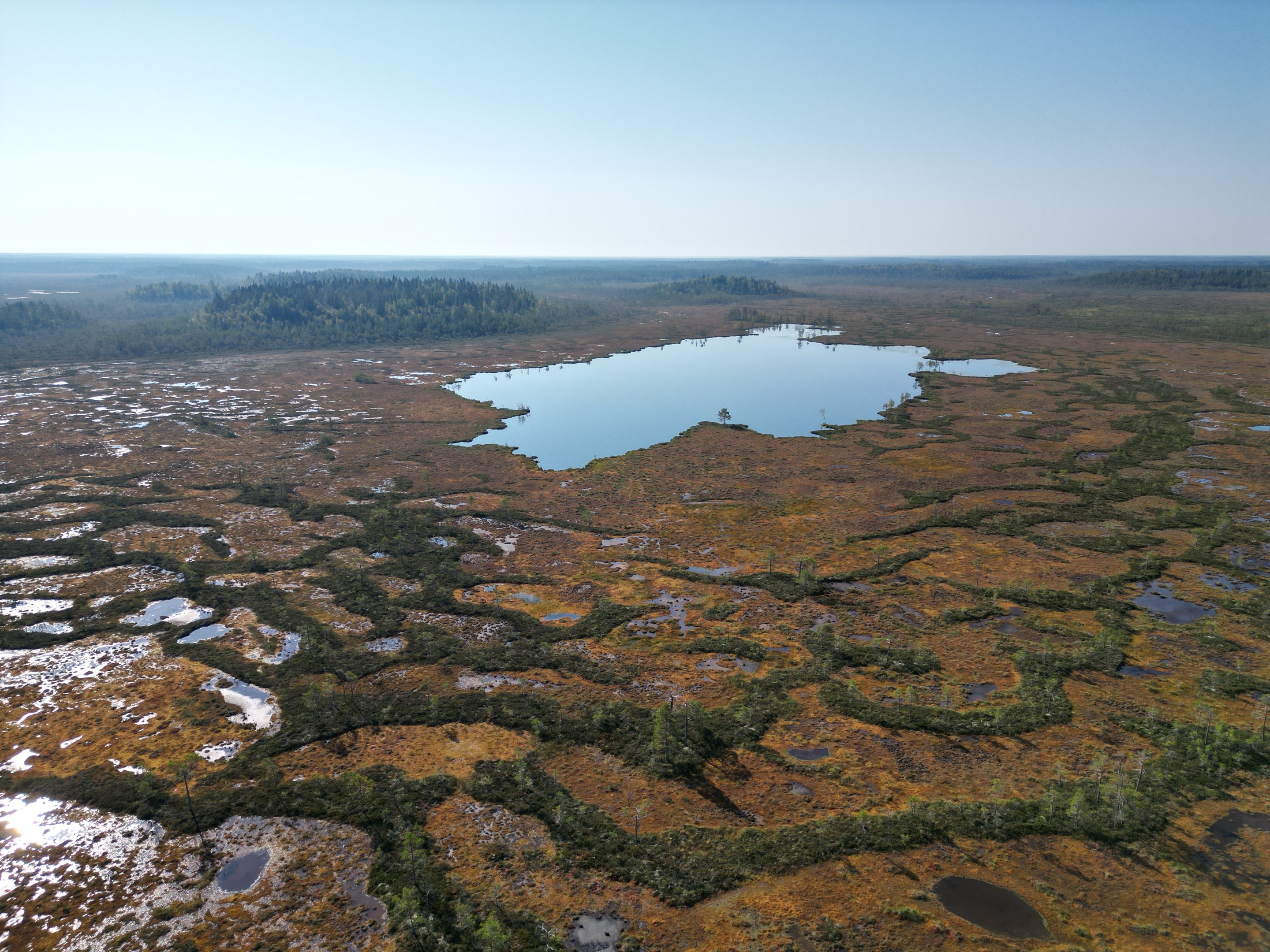 Suomaisema ilmasta kuvattuna, taustalla järvi ja metsäsaarekkeita.